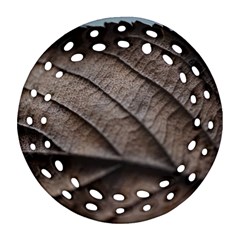Leaf Veins Nerves Macro Closeup Round Filigree Ornament (2side) by Amaryn4rt