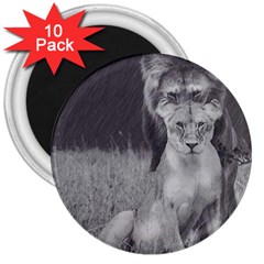 King And Queen Of The Jungle Design  3  Magnets (10 Pack)  by FrontlineS