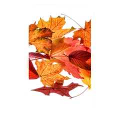 Autumn Leaves Leaf Transparent Memory Card Reader by Amaryn4rt