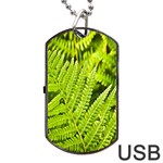 Fern Nature Green Plant Dog Tag USB Flash (Two Sides) Front