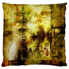 Grunge Texture Retro Design Large Flano Cushion Case (two Sides) by Nexatart