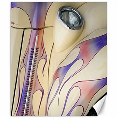 Pin Stripe Car Automobile Vehicle Canvas 20  X 24  