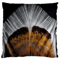 Spring Bird Feather Turkey Feather Large Cushion Case (two Sides) by Nexatart