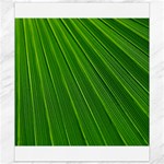 Green Lines Macro Pattern Canvas 8  x 10  8.15 x9.66  Canvas - 1