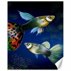 Marine Fishes Canvas 16  X 20  