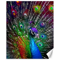 3d Peacock Pattern Canvas 16  X 20  