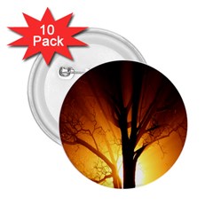 Rays Of Light Tree In Fog At Night 2 25  Buttons (10 Pack)  by Amaryn4rt