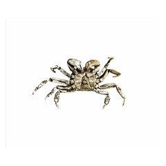 Dark Crab Photo Double Sided Flano Blanket (small)  by dflcprints