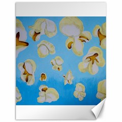 Air Popped Canvas 12  X 16  
