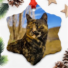 Adult Wild Cat Sitting And Watching Snowflake Ornament (two Sides) by dflcprints