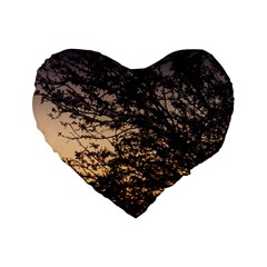Arizona Sunset Standard 16  Premium Heart Shape Cushions by JellyMooseBear