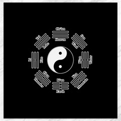 I Ching  Canvas 20  X 20   by Valentinaart