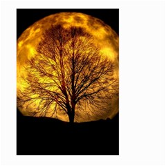 Moon  Large Garden Flag (two Sides) by KAllan
