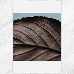 Leaf Veins Nerves Macro Closeup Canvas 12  X 18   by BangZart