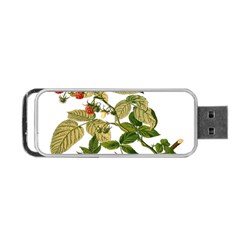 Berries Berry Food Fruit Herbal Portable Usb Flash (two Sides) by Nexatart