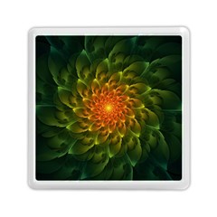 Beautiful Orange-green Desert Cactus Fractalspiral Memory Card Reader (square)  by jayaprime