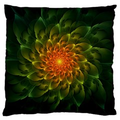 Beautiful Orange-green Desert Cactus Fractalspiral Large Flano Cushion Case (one Side) by jayaprime