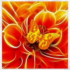Arrangement Butterfly Aesthetics Orange Background Canvas 16  X 16   by Celenk