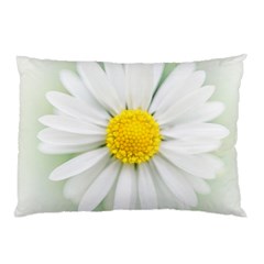 Art Daisy Flower Art Flower Deco Pillow Case (two Sides) by Celenk