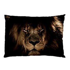 African Lion Mane Close Eyes Pillow Case by Celenk