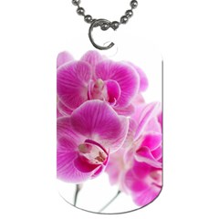 Orchid Phaleonopsis Art Plant Dog Tag (two Sides) by Celenk
