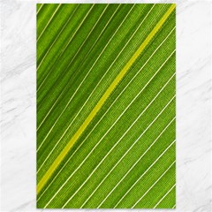 Leaf Plant Nature Pattern Canvas 12  X 18   by Nexatart