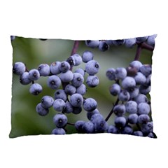 Blueberries 2 Pillow Case by trendistuff