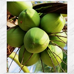 Coconuts 1 Canvas 8  X 10  by trendistuff