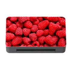 Raspberries 2 Memory Card Reader With Cf by trendistuff