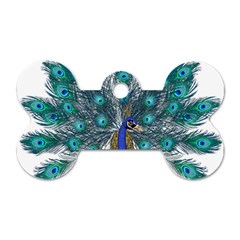 Peacock Bird Peacock Feathers Dog Tag Bone (two Sides)
