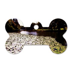 Highland Park 6 Dog Tag Bone (two Sides) by bestdesignintheworld