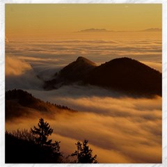 Homberg Clouds Selva Marine Canvas 20  X 20  