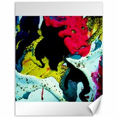 Buffalo Vision Canvas 12  X 16   by bestdesignintheworld