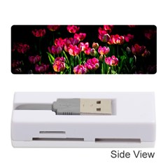 Pink Tulips Dark Background Memory Card Reader (stick) by FunnyCow