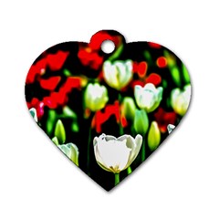 White And Red Sunlit Tulips Dog Tag Heart (two Sides) by FunnyCow