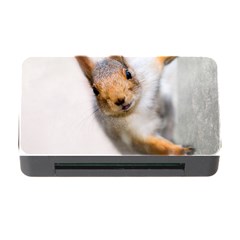 Curious Squirrel Memory Card Reader With Cf by FunnyCow