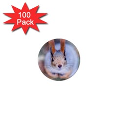 Squirrel Looks At You 1  Mini Magnets (100 Pack)  by FunnyCow