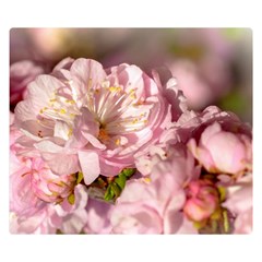 Beautiful Flowering Almond Double Sided Flano Blanket (small)  by FunnyCow