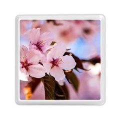 Three Sakura Flowers Memory Card Reader (square) by FunnyCow