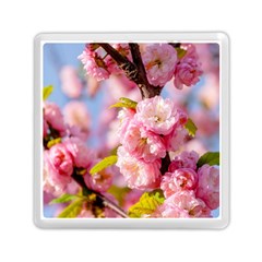 Flowering Almond Flowersg Memory Card Reader (square) by FunnyCow