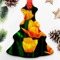 Yellow Orange Tulip Flowers Ornament (christmas Tree)  by FunnyCow
