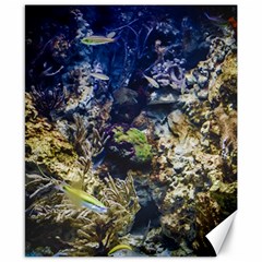 Under The Sea Canvas 8  X 10 