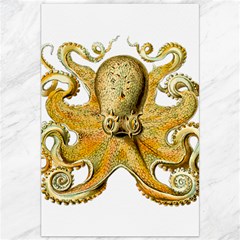 Animal Art Forms In Nature Clips Canvas 20  X 30 