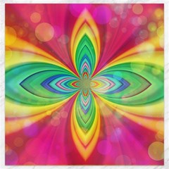Color Abstract Form Ellipse Bokeh Canvas 20  X 20 