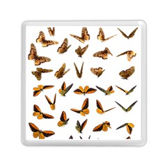 Butterfly Butterflies Insect Swarm Memory Card Reader (square) by Pakrebo