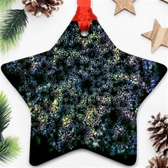 Queen Annes Lace In Blue And Yellow Star Ornament (two Sides) by okhismakingart