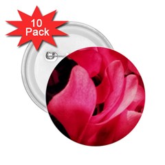 Pink 2 25  Buttons (10 Pack)  by okhismakingart