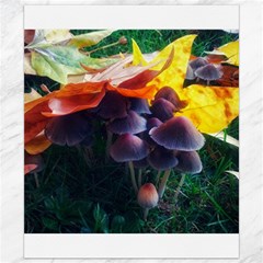 Mushrooms Canvas 8  X 10  by okhismakingart
