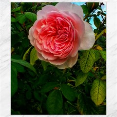 Complex Pink Rose Canvas 8  X 10  by okhismakingart