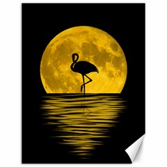 Moon Reflection Flamenco Animal Canvas 12  X 16 
